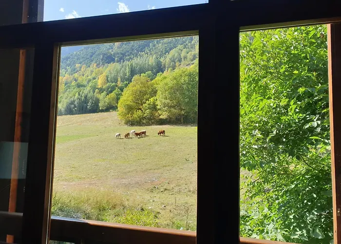 Duplex Areu, Pallars