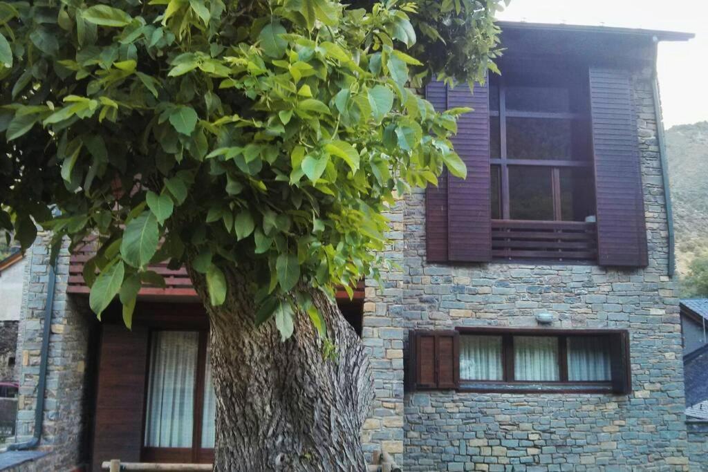 Duplex Areu, Pallars Apartment