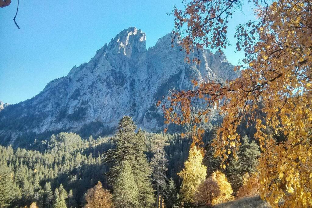 Con Jardin Comunitario En Pallars Sobirà Apartamento *