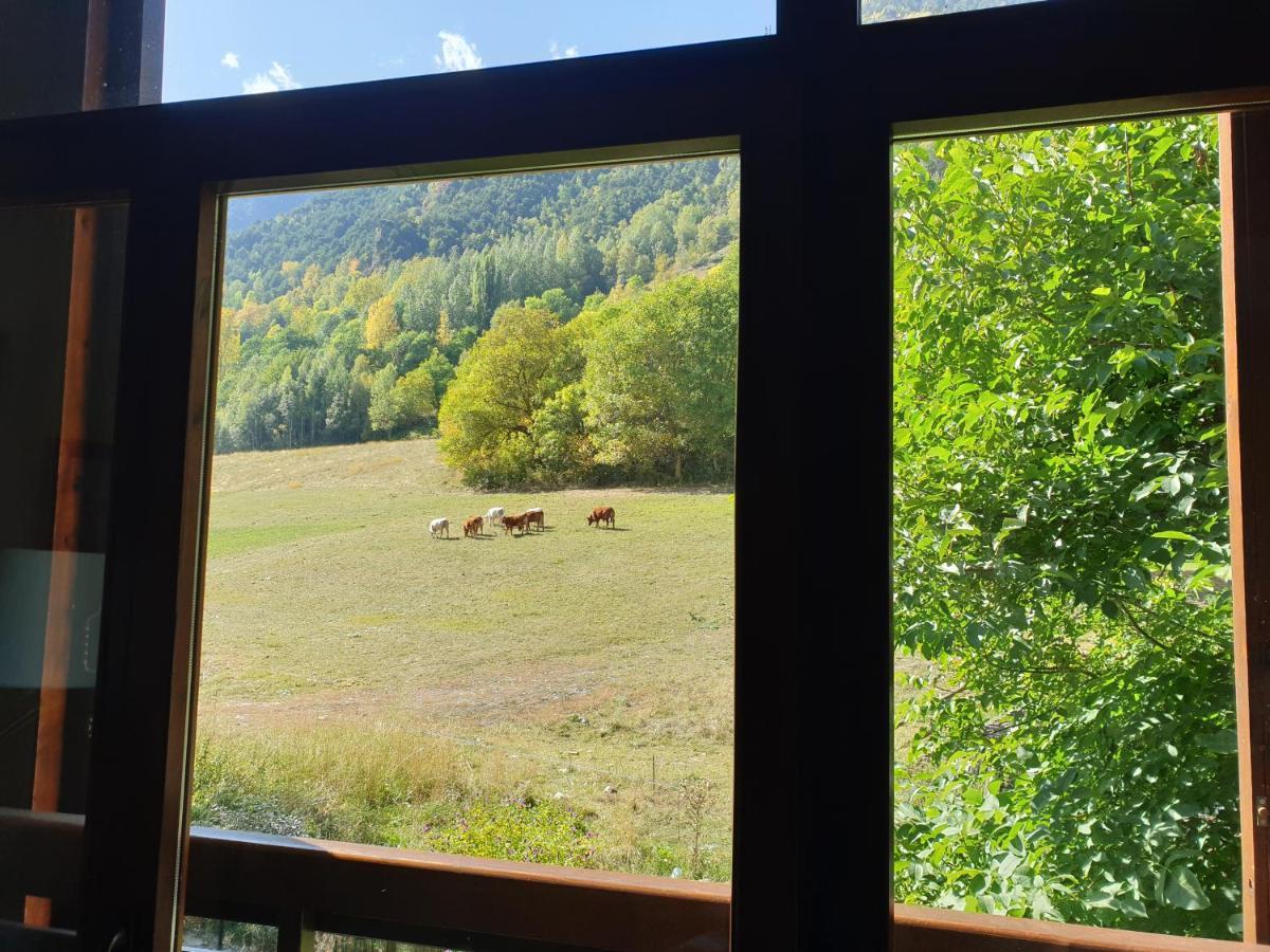 Duplex Areu, Pallars * Areu